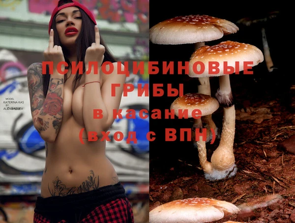 прущая мука Балабаново