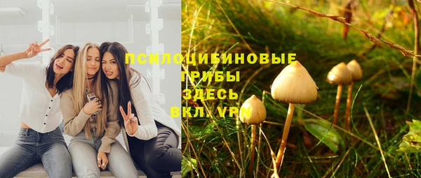 Альфа ПВП Балахна